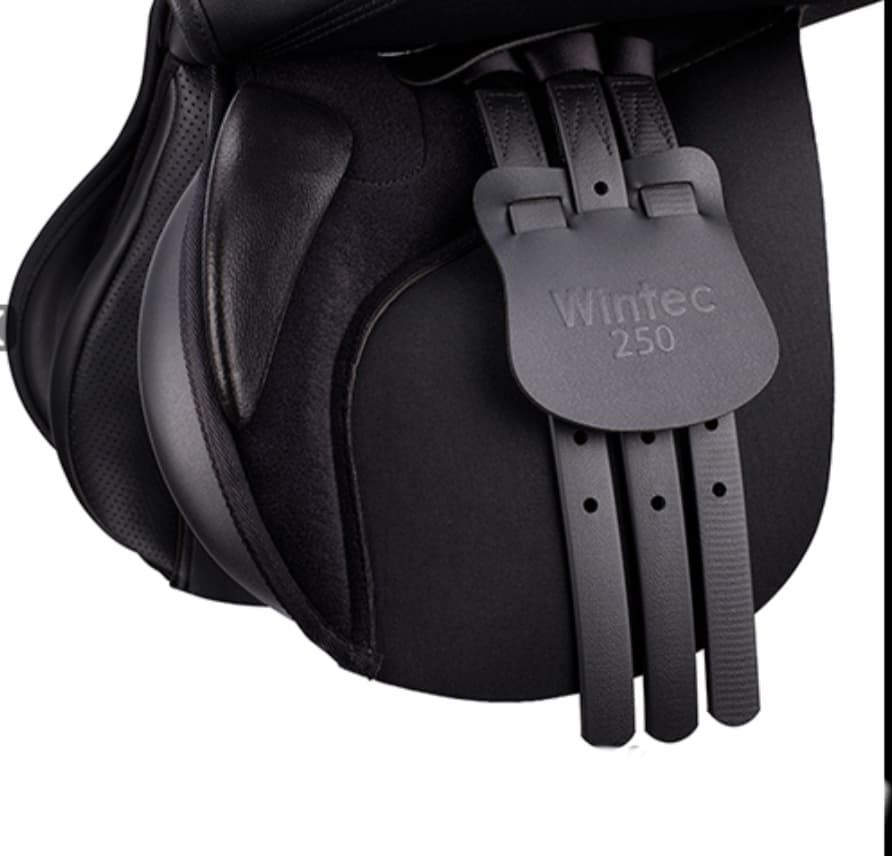 Silla uso general sintética WINTEC 250 NEW, color negro, 17 1/2" - Imagen 2